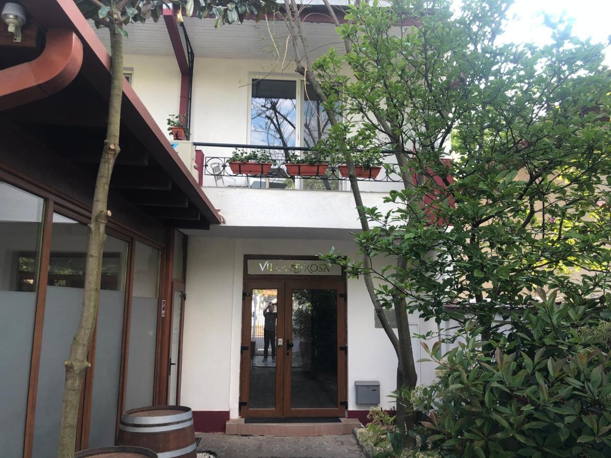 Villa Rosa 蒂米什瓦拉 外观 照片